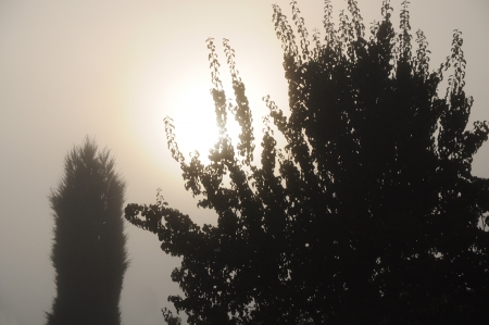 Fog sunshineの写真素材