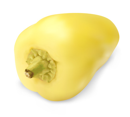 realistic white pepper のイラスト素材