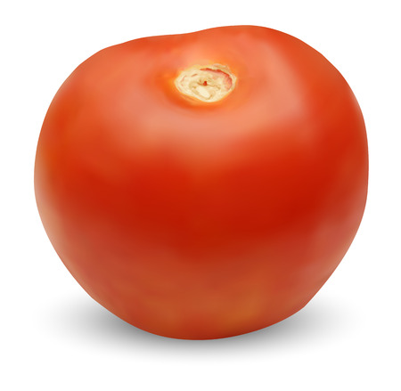 vector tomatoのイラスト素材