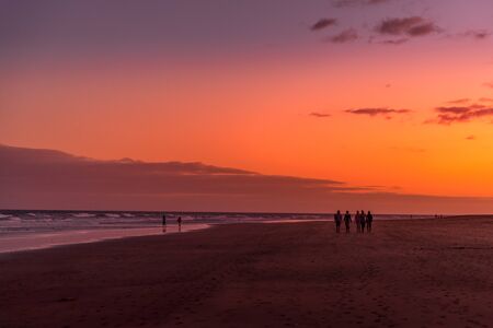 Dark sunset overlooking the ocean and orange sunset and the sand dunes and leaves of the dappled trees moving in strong wind capturedの写真素材