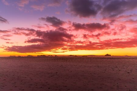 Dark sunset overlooking the ocean and orange sunset and the sand dunes and leaves of the dappled trees moving in strong wind capturedの写真素材