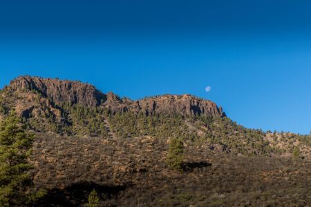 View of the hilltop on a mountainous landscape of volcanic origin along with lots of trees on the horizon, one can see the setting moon of the Gran Canary island の写真素材