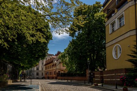 WrocÅaw side stree with path and treesの写真素材