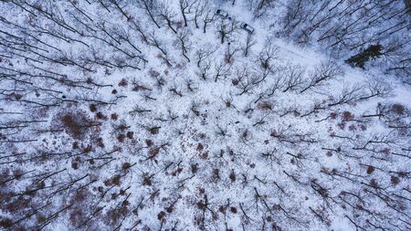 Snowy forest landscape View from the helicopter above the ground Forest road covered with snow from the mean height during flightの写真素材