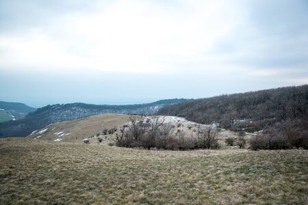 Forest rocky path leading up to the mountain in southern Moravia surrounding the abandoned castle Stony road full of treesの写真素材