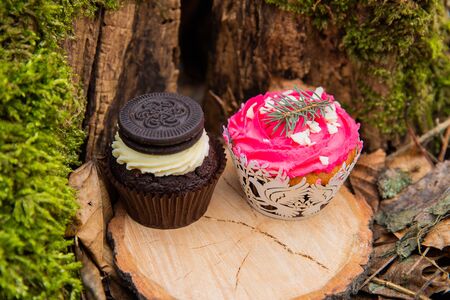 Cupcake cakes in the middle of forest on a moss dark cream with a biscuit and pink black cakes for a wedding ceremonyの写真素材