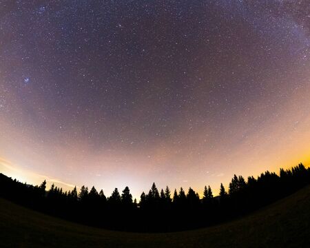 The Milky Way captured wide-spread along with the treetops with a yellow-orange glow on the horizon...