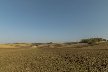 Landscape of South Moravia region known for growing vines captured farms and fields during a sunny day in autumn in the fields moving animals and a gentle blue sky without clouds.の写真素材