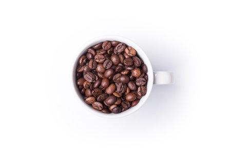 top view of White cup filled with freshly roasted coffee beans isolated on white backgroundの写真素材