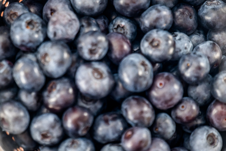 Abundance of fresh blueberriesの写真素材