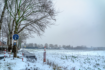 Dusty winter landscapeの写真素材