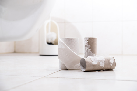 Empty Toilet Paper Rolls on the floor with toilet in backgroundの写真素材