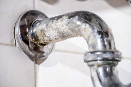 Fungal chalk growing on the siphon under the sinkの写真素材