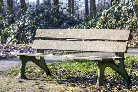 Wooden bench in the city park