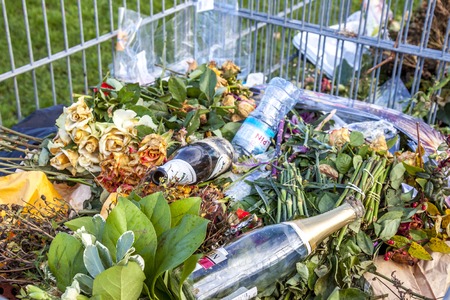Essen / Germany - January 01 2018 : Empty alcohol bottles lying on the green waste