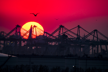 The Rotterdam harbour during sunset - Netherlandsの写真素材