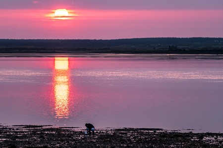 Little girls walking away with her filled backpackのeditorial素材