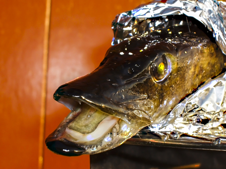 Fresh pike coiled in aluminium foil on barbecueの写真素材