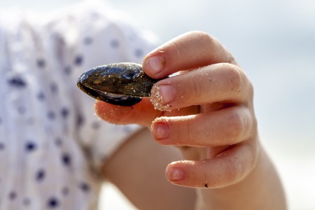Little girl holding shell at the beach in summerの写真素材