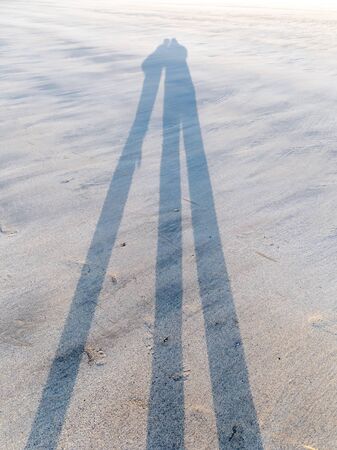 Funny shadows of couple on the beach with deep sunlight