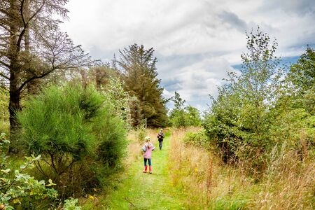 Little boy and girl hiking in the summer forest