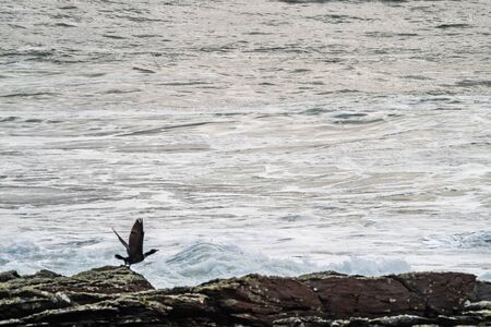 Rough atlantic ocean one day after storm Atiyah passed by on Dezember 08 2019.の写真素材