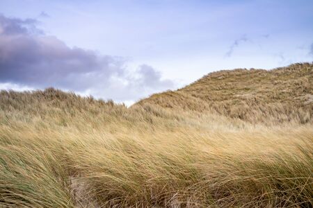 Dunes at the Sheskinmore Nature Reserve between Ardara and Portnoo in Donegal - Irelandの写真素材