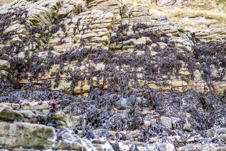 The beach and caves at Maghera Beach near Ardara, County Donegal - Ireland.の写真素材