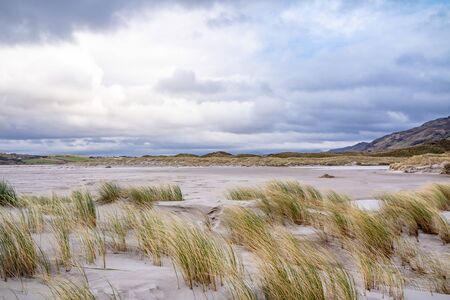 The dunes at Maghera Beach near Ardara, County Donegal - Irelandの写真素材