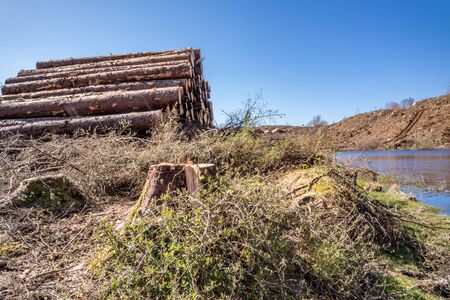 Timber stacks at Bonny Glen in County Donegal - Ireland