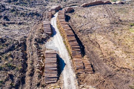 Aerial view of timber stacks at Bonny Glen in County Donegal - Ireland