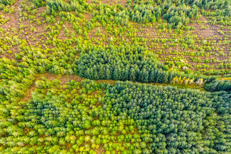 Amazing aerial of forest in County Donegal - Ireland