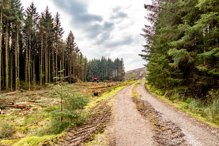 Deforestation giong on in County Donegal - Irelandの写真素材