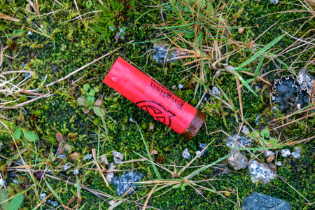 Glenties, Ireland - December 06 2020 : Birdshot lying in the field