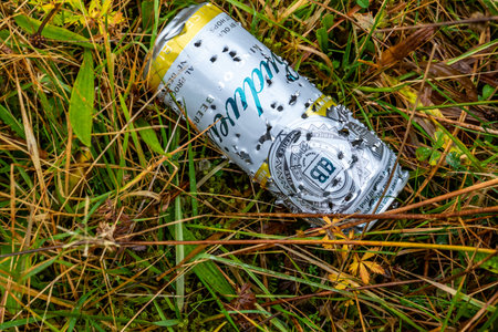 Glenties, Ireland - December 06 2020 : Can hit by birshot lying in the fieldのeditorial素材
