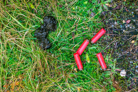 Glenties, Ireland - December 06 2020 : Birdshot lying in the field