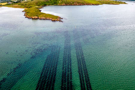Aerial view of loyster farm by Ardara, County Donegal - Irelandの写真素材