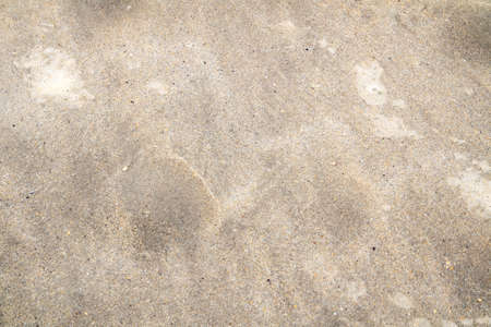 Bubbles in the sand showing that the tide is coming in