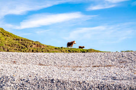 The beach next to the Great Pollet Sea Arch, Fanad Peninsula, County Donegal, Irelandの写真素材