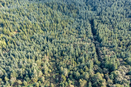 Aerial view of the Ards Forest Park in County Donegal, Ireland