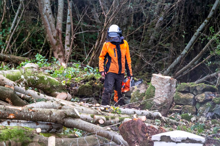 Worker felling and shredding trees, shrubs and bushes