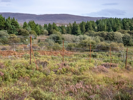 The deer fence at Glenveagh National Park in County Donegal, Irelandの写真素材