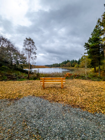 View of the beautiful Lake Namanlagh close to Bonny Glen in County Donegal - Ireland.の写真素材