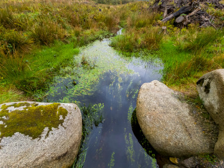 View of the beautiful stream in Bonny Glen in County Donegal - Ireland.の写真素材