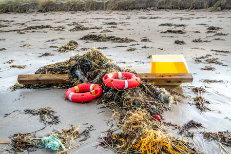 Narin, Portnoo, Ireland - January 15 2020 : Ringbuo lying on Portnoo beach in County Donegal after...