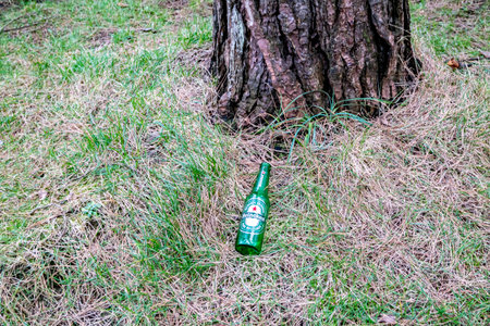 Murvagh, County Donegal, Ireland - January 21 2022 : Beer bottle lying in forestのeditorial素材