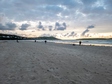 20 man are competing in a fishing competition on the beach.の写真素材