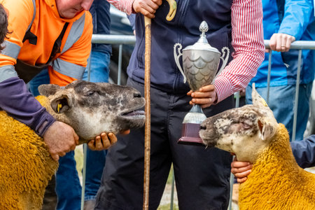 The award ceremony at an Agricultural Show