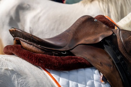 Saddle on a horse back in Irelandの写真素材