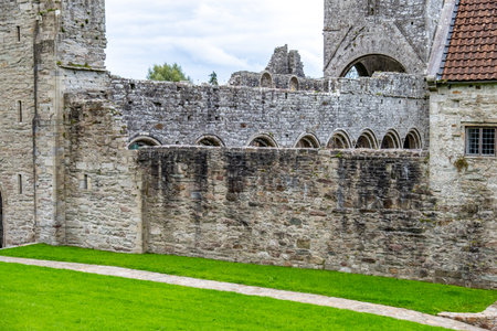 Ruins of the Boyle Abbey, a Cistercian monastery founded in the twelfth century by monksの写真素材